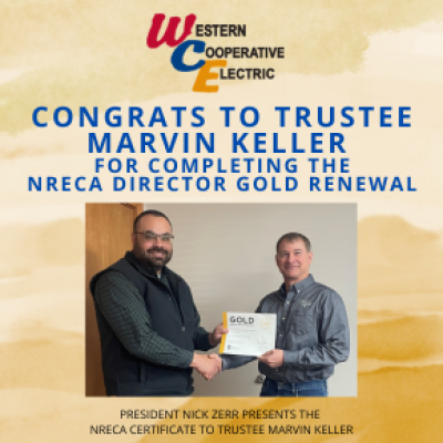 2026 MK Director Gold renewal