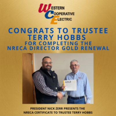 Terry Hobbs renews his Director Gold